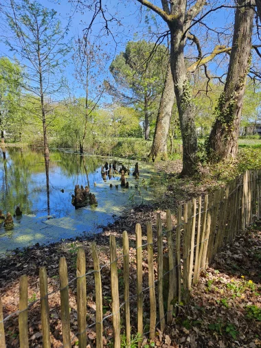 Parc de Beaudesert etang inaccessible.